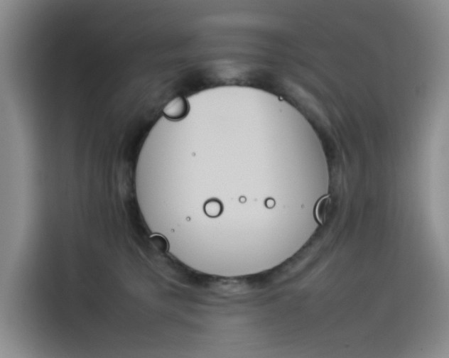 X0000114230421200910161615