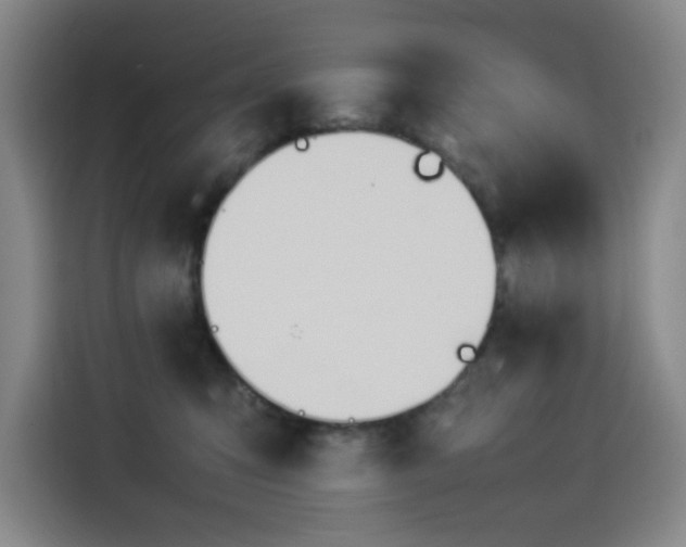 X0000114230423200910161615