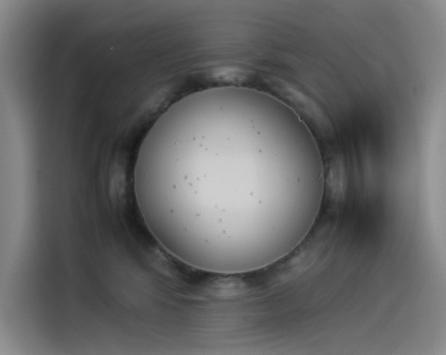 X0000114230424200910161615