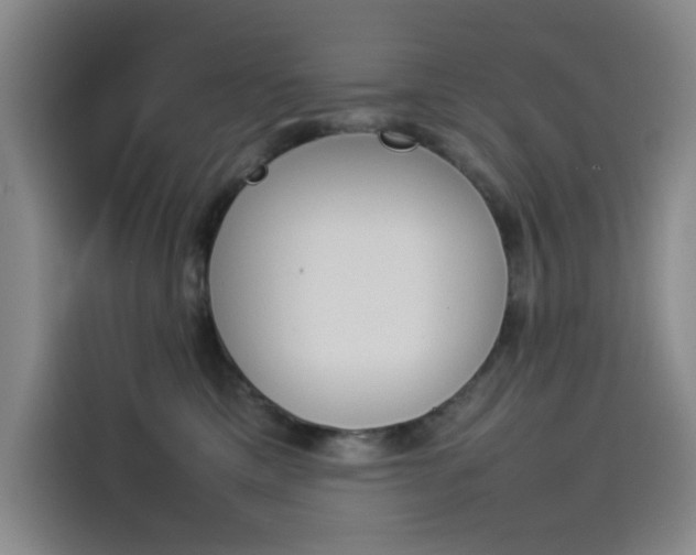 X0000114230425200910161615