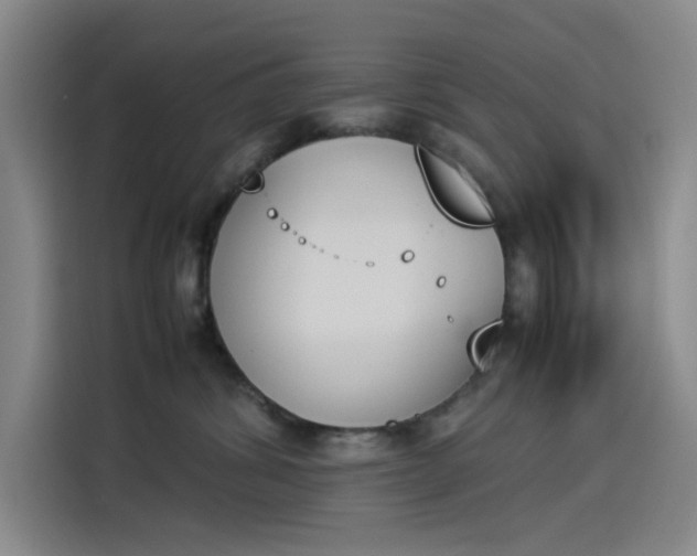 X0000114230428200910161615
