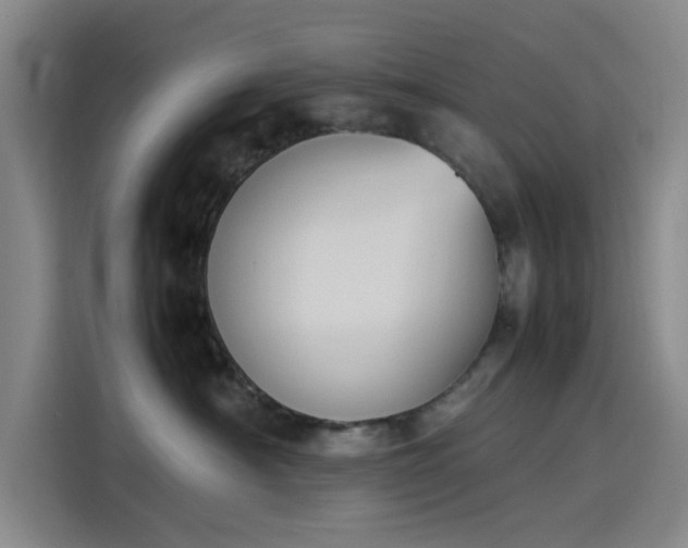 X0000114230430200910161615