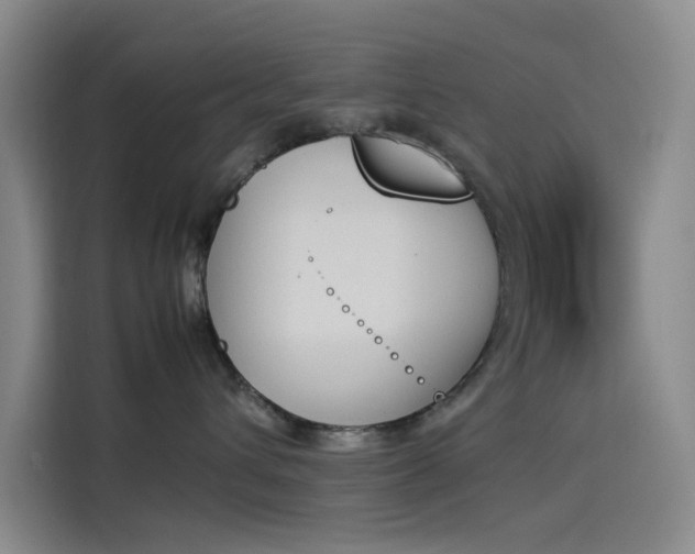 X0000114230432200910161615