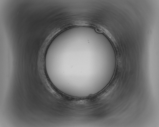 X0000114230433200910161614