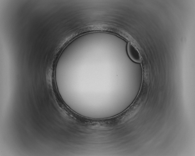 X0000114230434200910161614