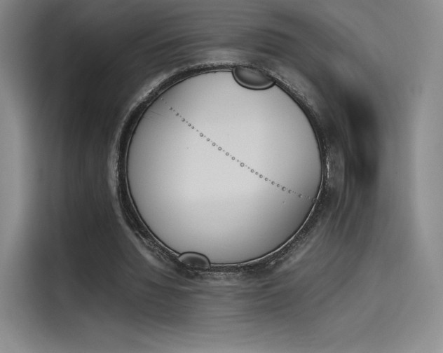 X0000114230436200910161614