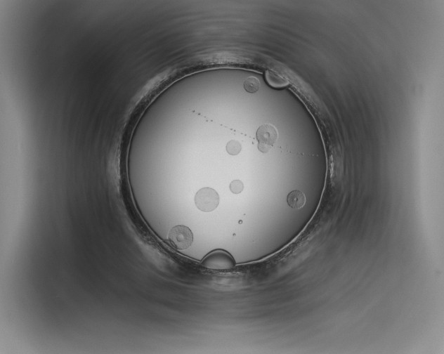 X0000114230438200910161614