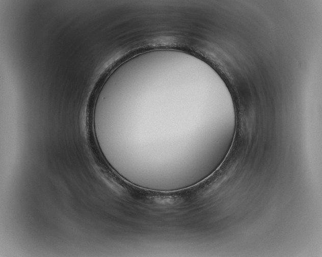 X0000114230439200910161614