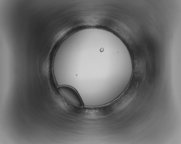 X0000114230440200910161614