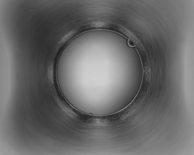 X0000114230442200910161614