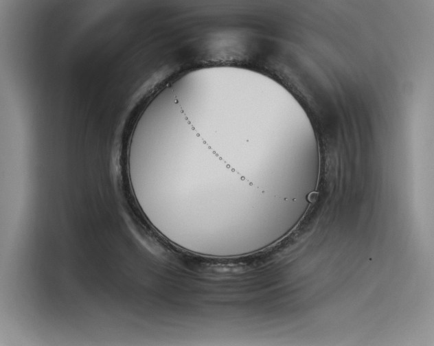 X0000114230443200910161614