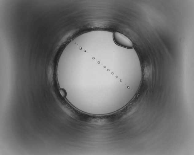 X0000114230444200910161614