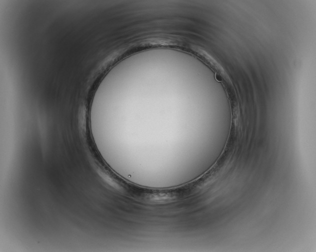 X0000114230445200910161614