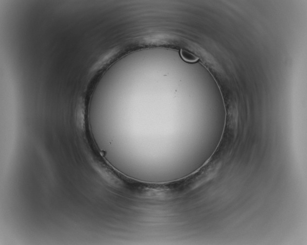 X0000114230446200910161614