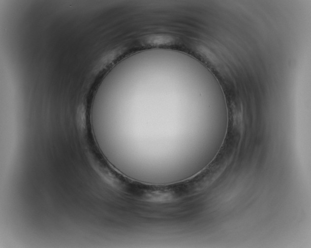 X0000114230447200910161614