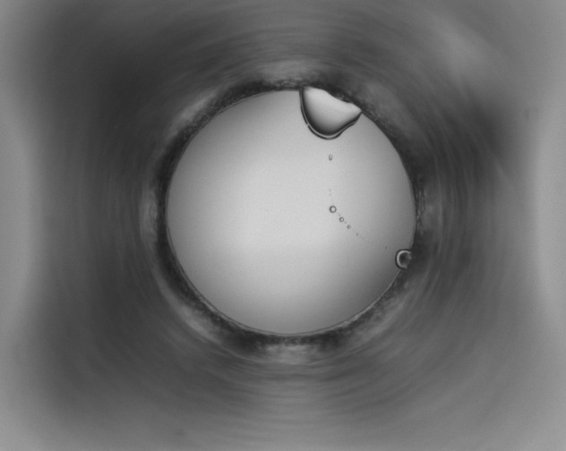 X0000114230448200910161614