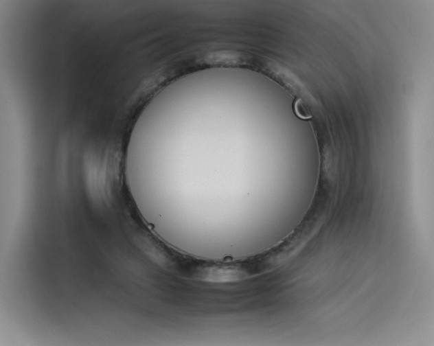 X0000114230449200910161614