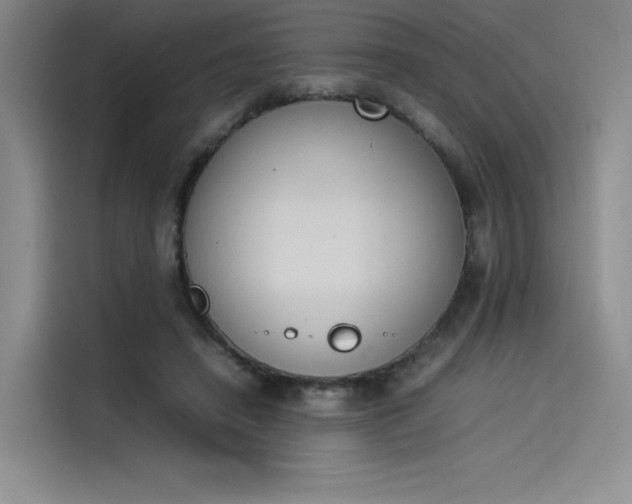 X0000114230450200910161615
