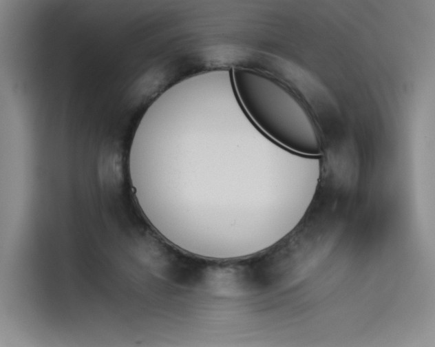 X0000114230452200910161615