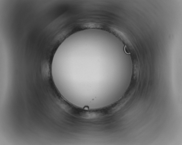 X0000114230453200910161615