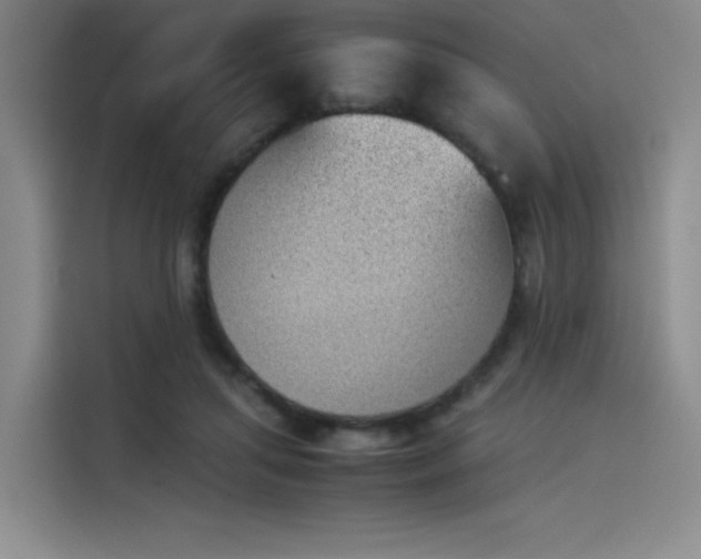 X0000114230455200910161615