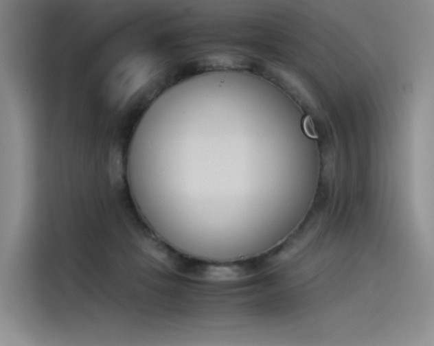 X0000114230457200910161615