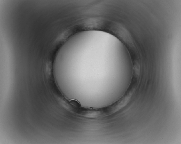X0000114230458200910161615