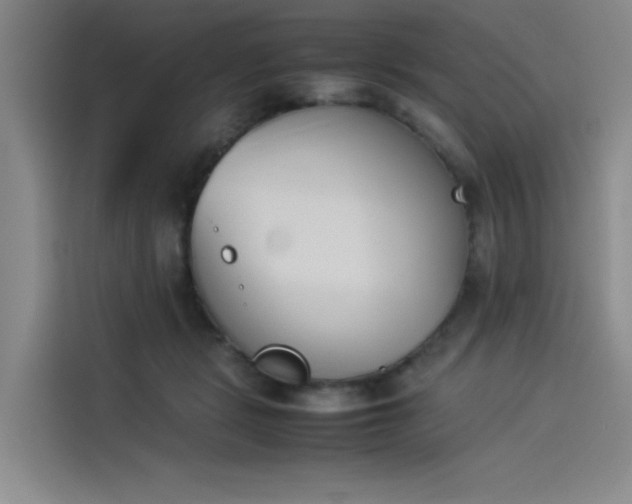 X0000114230461200910161615