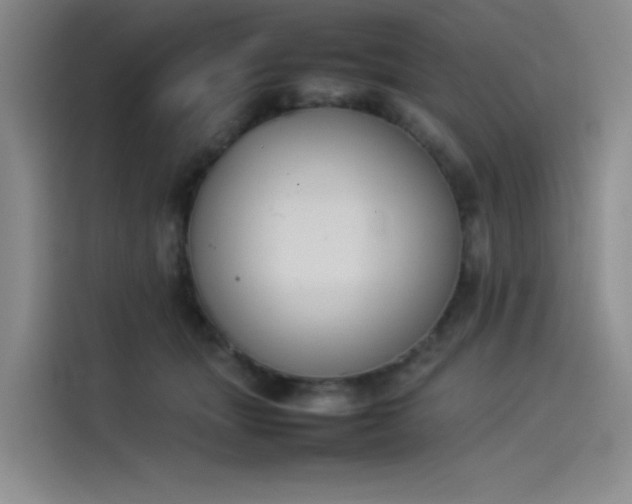 X0000114230463200910161615