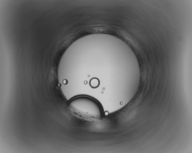 X0000114230467200910161615