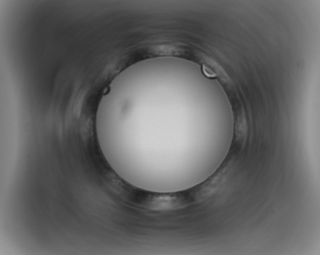 X0000114230473200910161615