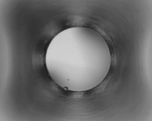 X0000114230474200910161615