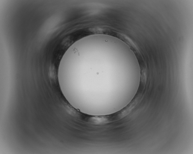 X0000114230477200910161615