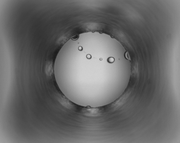 X0000114230478200910161615