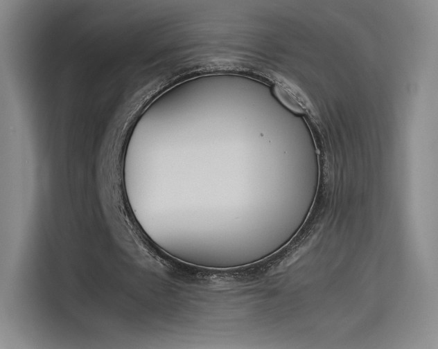 X0000114230481200910161614