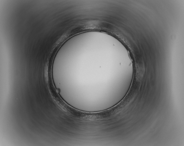 X0000114230482200910161614