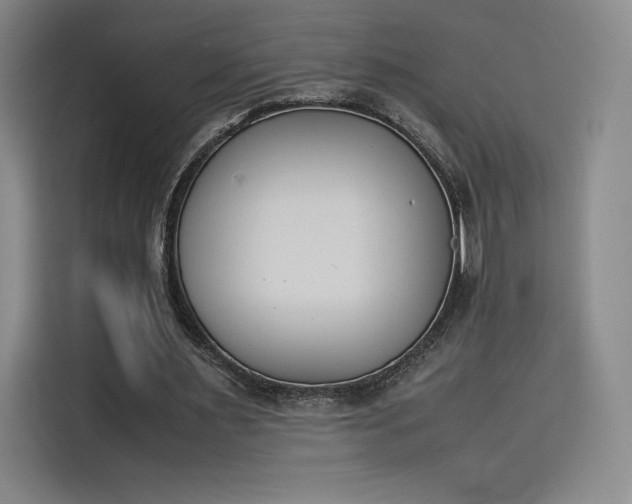 X0000114230483200910161614