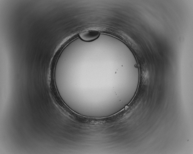 X0000114230484200910161614