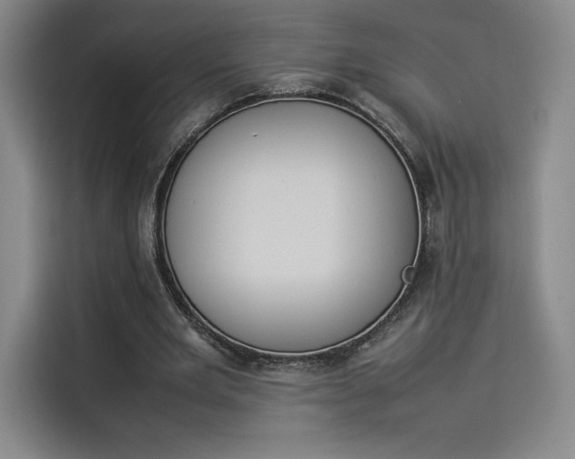 X0000114230485200910161614