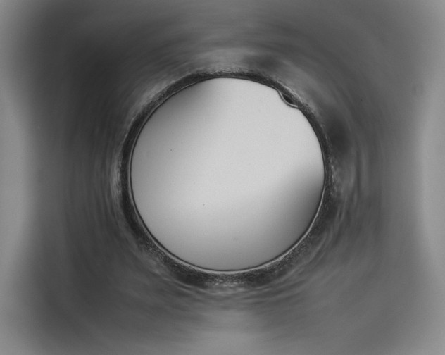 X0000114230487200910161614