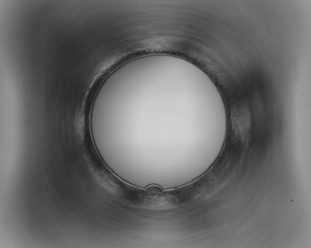 X0000114230488200910161614