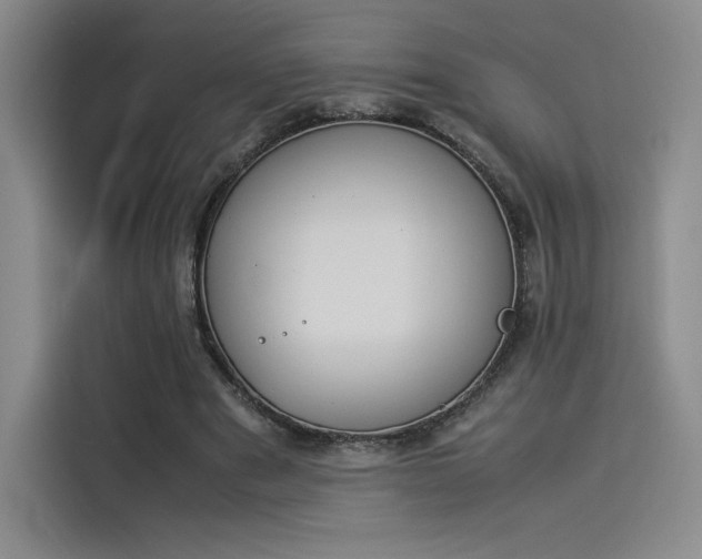 X0000114230489200910161614