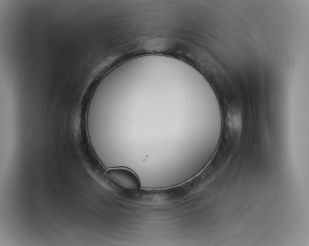 X0000114230492200910161614