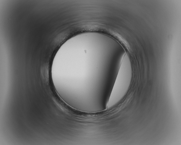 X0000114230493200910161614