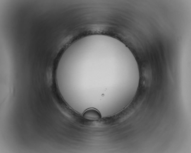 X0000114230496200910161614