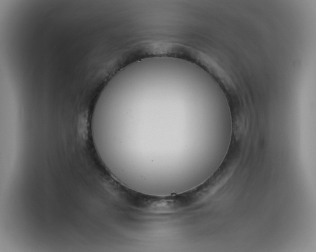 X0000114230497200910161614