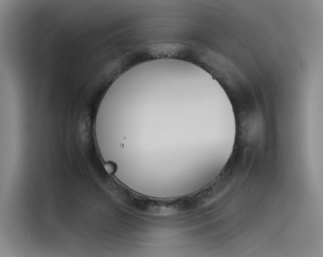 X0000114230498200910161614