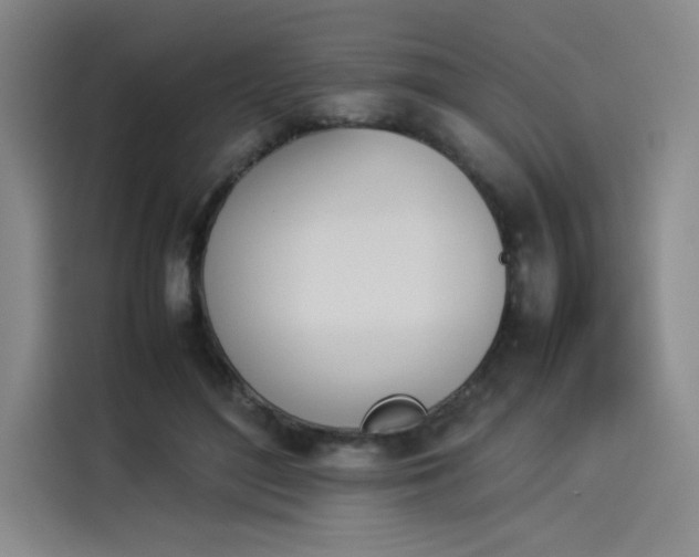 X0000114230500200910161614