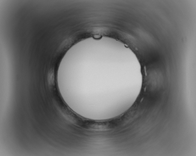 X0000114230502200910161614