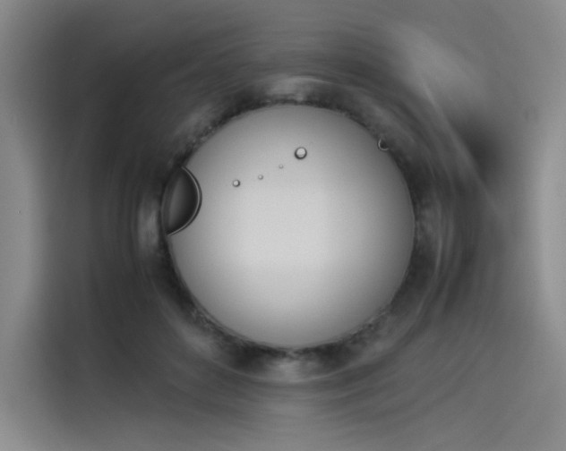X0000114230504200910161614